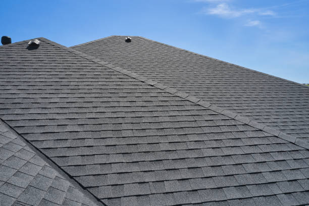 Best Roof Coating and Sealing  in Barrington Hls, IL